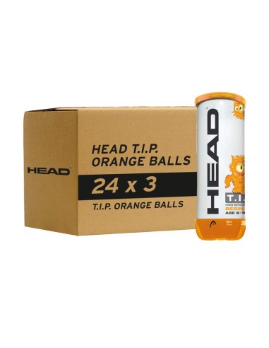 HEAD T.I.P. ORANGE CARTON BOX – 16 X...